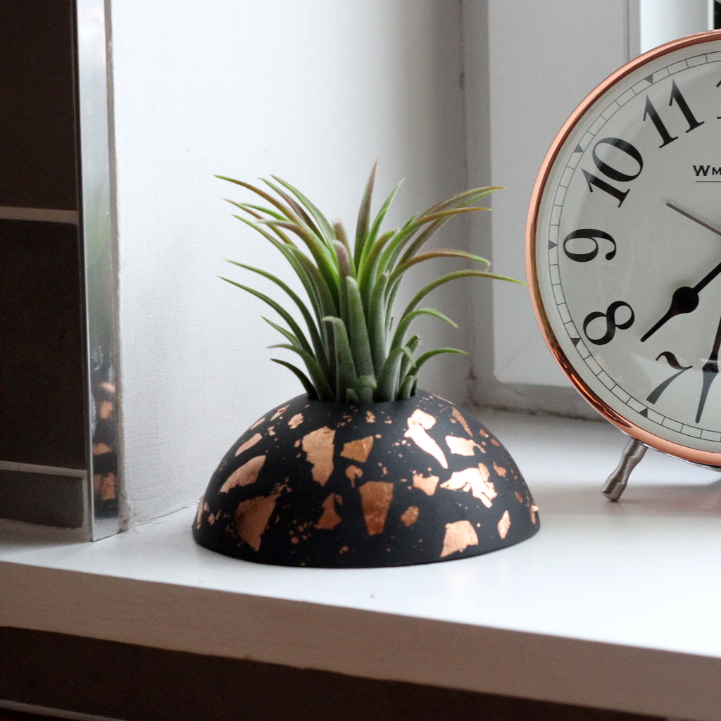 Air Plant holder display dome - Metallic Copper