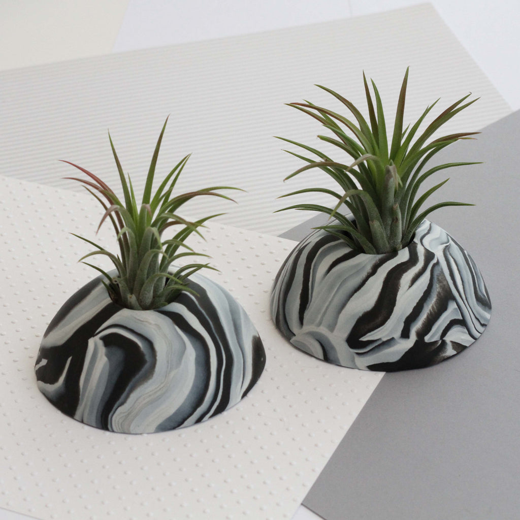 Air Plant holder display dome - Dark Marble