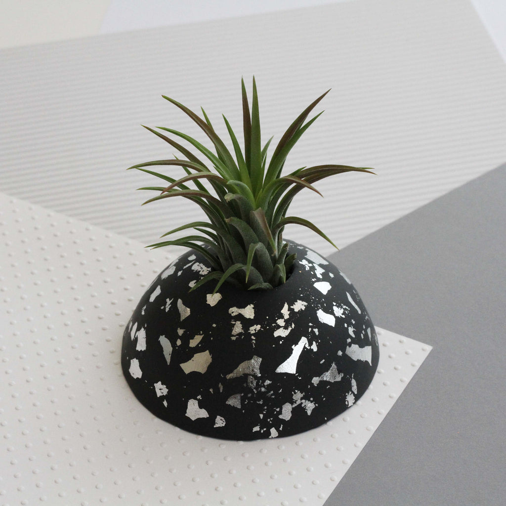 Air Plant holder display dome - Metallic Silver