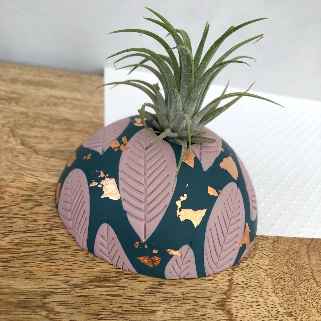 Teal and blush pink vase and airplant dome set