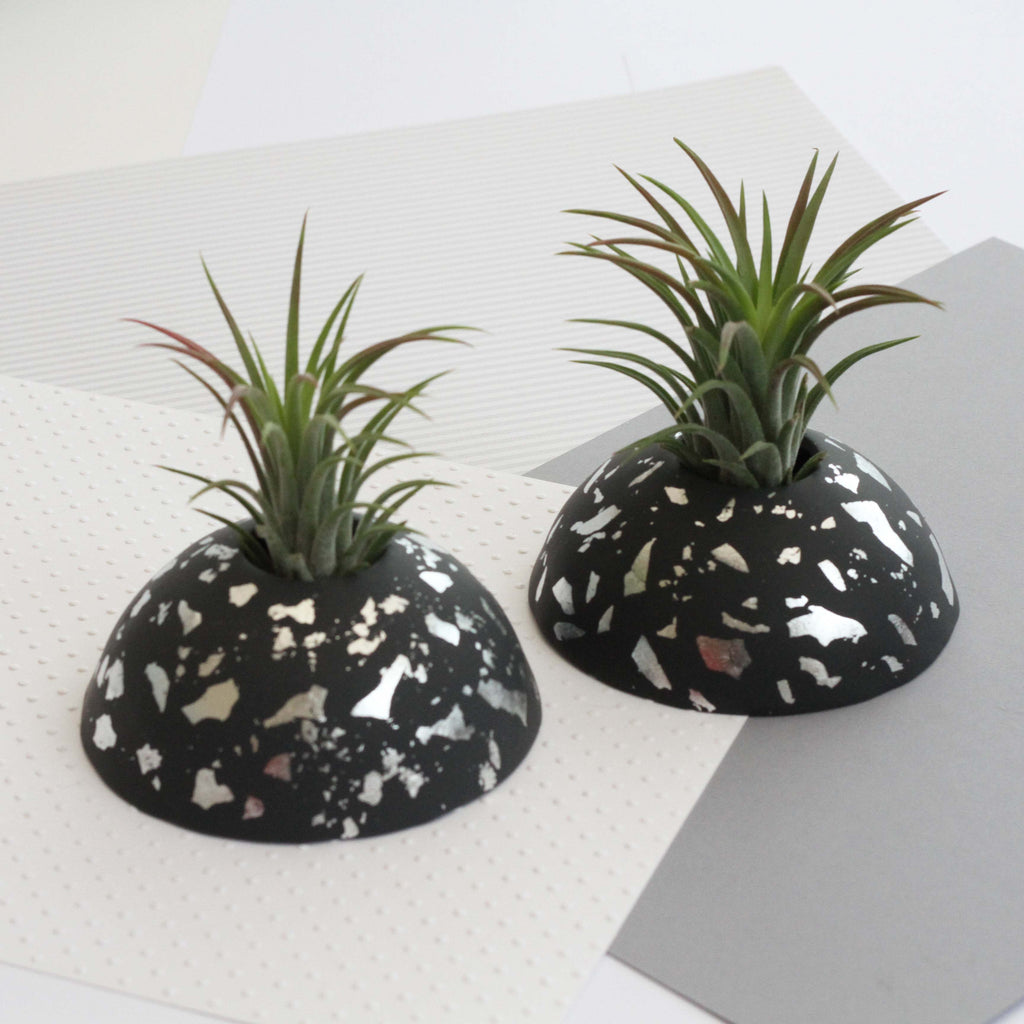 Air Plant holder display dome - Metallic Silver