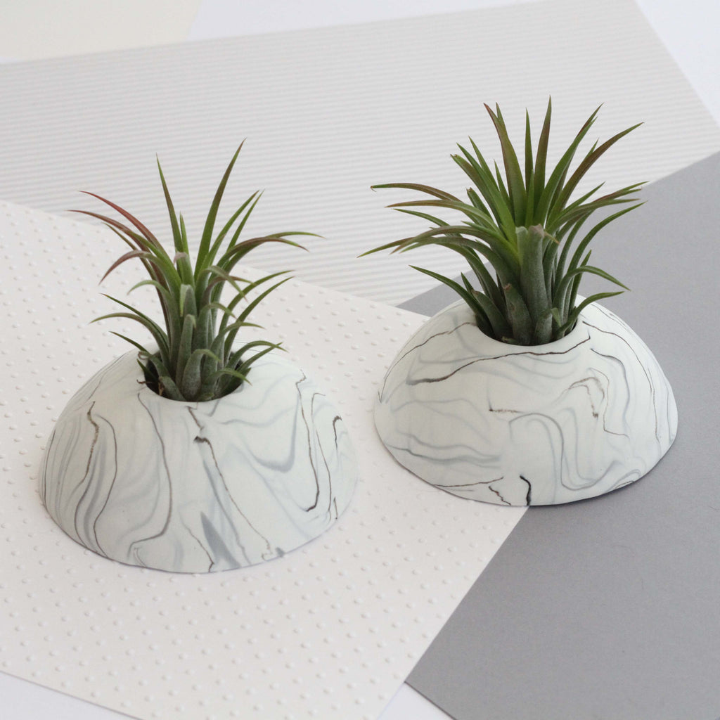 Air Plant holder display dome - Light Marble