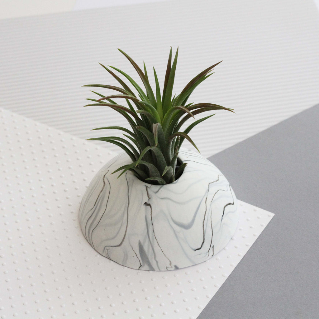 Air Plant holder display dome - Light Marble