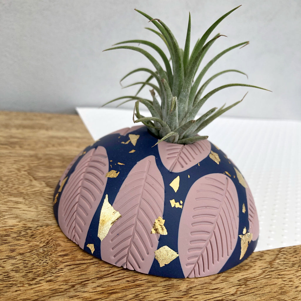 Navy and blush pink vase and airplant dome set